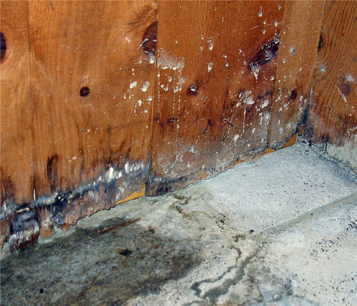 This is what can happen if you do not properly mitigate your water damage.